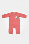 BabyCosy Kız Bebek Ayaksız Fermuarlı Tulum  3-24 Ay G.Kurusu