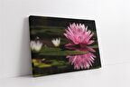 Pembe Nilüfer Kanvas Tablo
