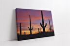 Gün Batımı ve Kaktüs Kanvas Tablo