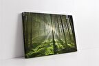 Güneş ve Yeşil Doğa Kanvas Tablo