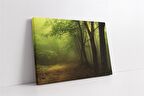 Sisli Orman Kanvas Tablo