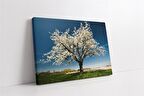 Beyaz Gelincikli Ağaç Kanvas Tablo