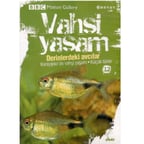BBC Motion Gallery - Vahşi Yaşam Derinlerdeki Avcılar Karayipler'de Vahşi Yaşam Küçük Türler -  (DVD)