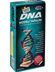 OkulStore Dna Modeli Yapalım Seti