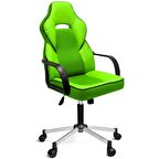 Türksit İnka Yönetici ve Oyuncu Koltuğu Plastik Kol Ve Metalik Gri Boyalı Ayaklı Yeşil