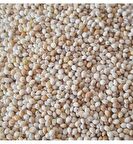 Sade 10 Kg Muhabbet Kuşu Yemi 