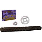 Yamaha YBR ÖN-ARKA DİŞLİ ZİNCİR SET 428H-118L 14-45T SFR