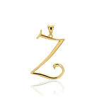 Z Harfi Altın Kolye Ucu