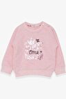 Breeze Kız Çocuk Sweatshirt Nakışlı Pullu 1-4 Yaş, Somon Melanj