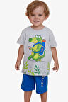 Breeze Erkek Çocuk Şortlu Takım Kampçı Timsah Baskılı 2-6 Yaş, Açık Gri Melanj