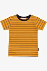Breeze Erkek Çocuk Tişört Çizgili 3-7 Yaş, Hardal Sarı