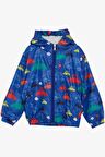 BREEZE GİRLS & BOYS Erkek Çocuk Yağmurluk Renkli Arabalar Desenli 1-5 Yaş, Saks Mavisi