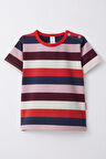 Breeze Kız Çocuk Tişört Patlı Çizgili 1-4 Yaş, Karışık Renk