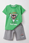 Breeze Erkek Çocuk Şortlu Takım Kral Aslancık Baskılı 1-4 Yaş, Yeşil
