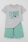 Breeze Erkek Çocuk Şortlu Takım Yaz Temalı Sörfçü Köpekçik Baskılı 2-6 Yaş, Açık Gri Melanj