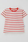 Breeze Erkek Çocuk Tişört Çizgili 3-7 Yaş, Ekru