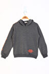 Toontoy Kız Çocuk Reglan Kol Sweatshirt