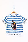 Toontoy Erkek Çocuk Komple Çizgi Desenli Baskılı Tişört