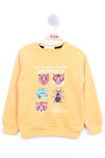Toontoy Erkek Çocuk Hayvan Baskılı Sweatshirt