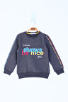 Toontoy Kız Çocuk Always Baskılı Sweatshirt 