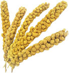 Vitaking Kuşlar İçin Doğal Sarı Dal Darı 100 gr