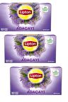 Lipton Bardak Poşet Adaçayı 120 gr 20'li 