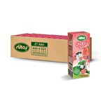 Çilekli Süt 200 ml (27 adet)