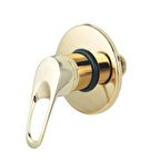 FKN Altın Ankastre Sıcak Soğuk Taharet Musluk