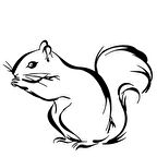 Araba Sincap Yapıştırması 17CM