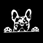 Paws Up fransız Bulldog Frenchie BEyaz Renk Sticker