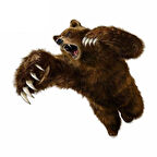 Vahşi Ayı Araba Sticker Yapıştırması 20 CM