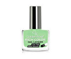 Golden Rose Rich Color Nail Lacguer Nojr -70