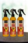 Farnia Kavun & Mango Oda Spreyi 350 Ml Melon & Mango 3 Adet