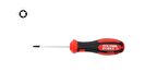 Ceta Form T9 x 60 mm Torx Tornavida F18-009-060