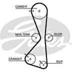 Mitsubıshı Triger Kayısı (122x200) Mitsubıshı Galant Grandıs Outlander 2.4 16v 03-> - Gates 5609xs