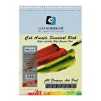 A4 200 Gr. 20 Yp. Spiralli Çok Amaçlı Sanatsal Blok ALX-3909