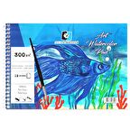 ALX.A4 300 GR 12.Lİ SPR ART SULU BOYA DFT.ALX-3930