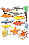 14 Parça Deniz Okyanus Hayvanları Seti 2009C