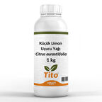 Küçük Limon Uçucu Yağı Citrus aurantiifolia 1 kg