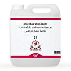Karabaş Otu Esansı 5 litre