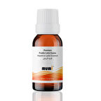 Premium Fındıklı Latte Mum Esansı 10 ml