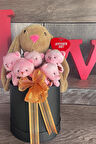 SOLE Premium Özel Hediye Kutusunda  45 cm Bunny Tavşan ve 5 Adet Pembe Peluş Ayıcık Buketi
