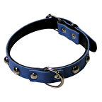 Petinka Yumuşak Dokulu Deri Köpek Medium Gezdirme Boyun Tasması 