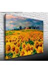 Ayçiçek Tarlası Canvas Tablo (50x70)