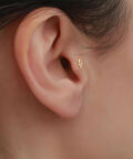 14 Ayar Altın Taşlı Balık Tragus Piercing