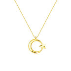 14 Ayar Altın Ayyıldız Kolye