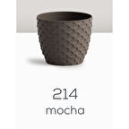 Serınova Kapadokya Saksı 3 No Mocha