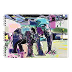 Keskin 35*50 Spiralli Basic Resim Defteri 40yp