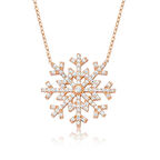 Gümüş Kar Tanesi Kadın Kolye