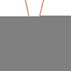 Gümüş Kar Tanesi Kadın Kolye